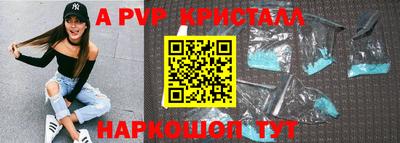 2c-b Кингисепп