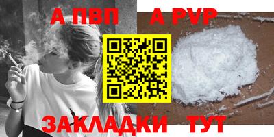 стаф Кинель