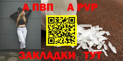 2c-b Кингисепп