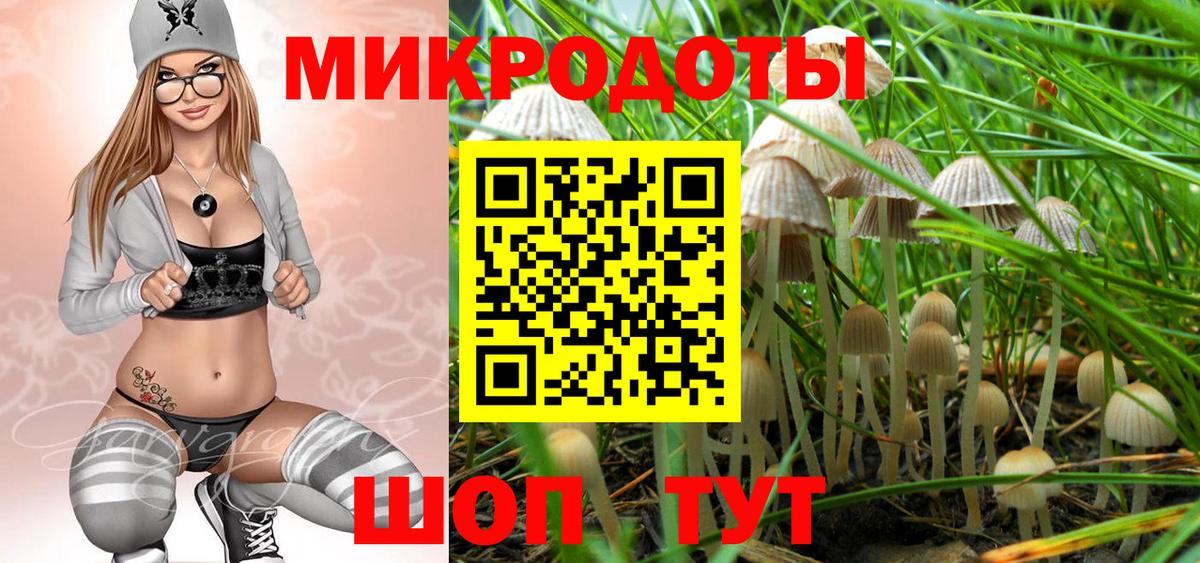Псилоцибиновые грибы MAGIC MUSHROOMS  Вход с VPN  Юрга 
